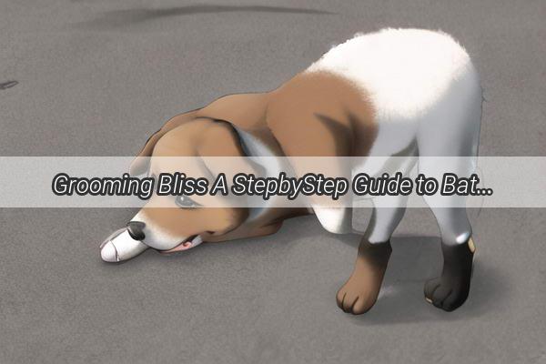 Grooming Bliss A StepbyStep Guide to Bathing Your Pups Face and Fur Like a Pro